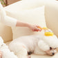 🐾 Buy 1 Get 1 Free! 🌿 Pet Bath Brush – Long Handle, Shampoo Dispenser, 2 Bristle Types, Easy Grip 🧴
