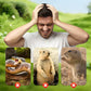 ☘️Solar Powered Waterproof Animal Repellent