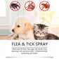 Natural Flea & Tick Spray for Dogs and Cats