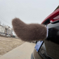 ⏳Limited-time 49% off 🚗🐾 Remote Control Electric Car Tail – Make Your Car Stand Out