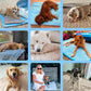 ⏳🔥LIMITED-TIME 50% OFF! 🐶 Dog Cooling Mat – 4x More Effective Cooling for Hot Summer Days ❄️✨